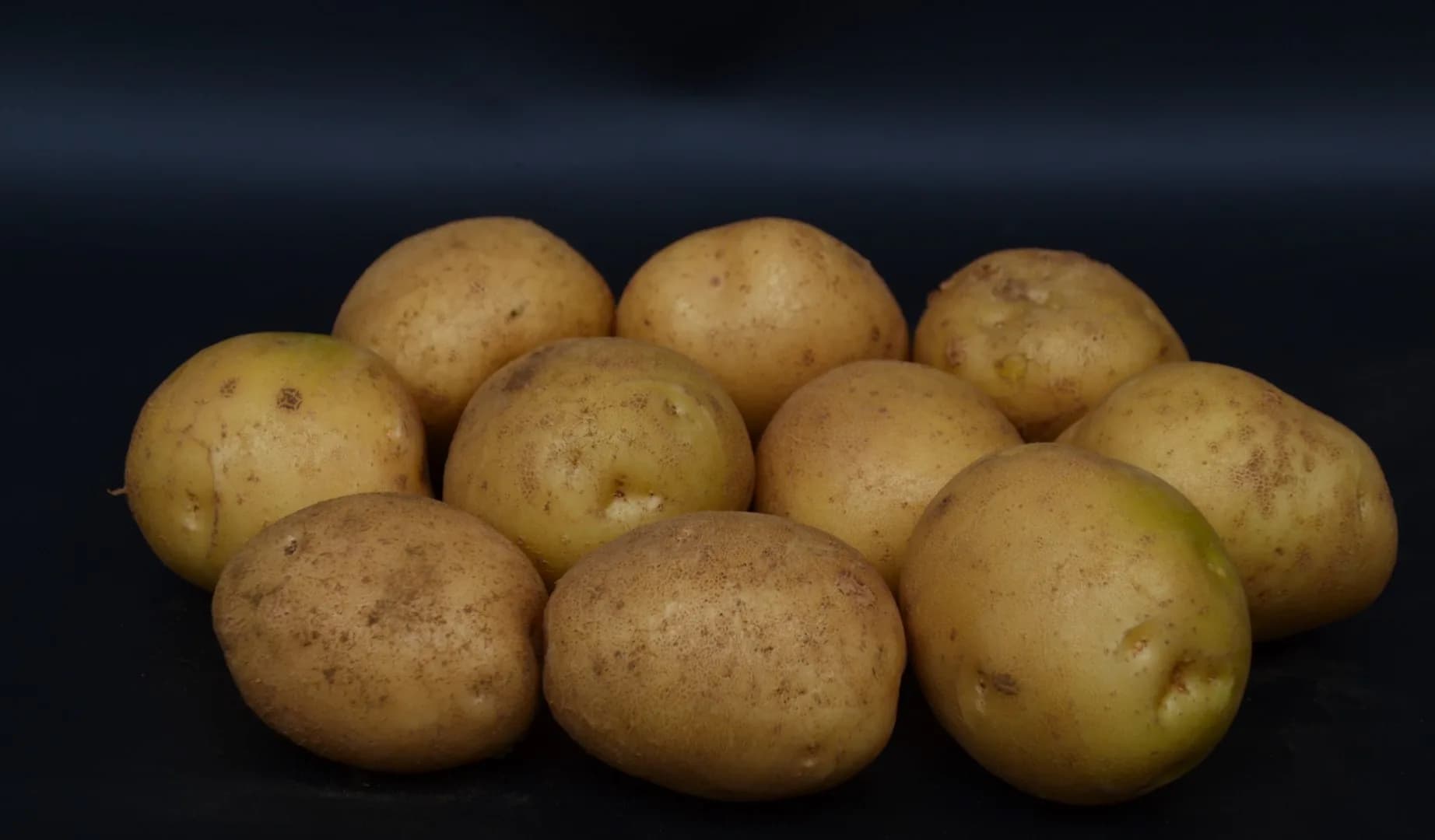 Ventury Agrihorti