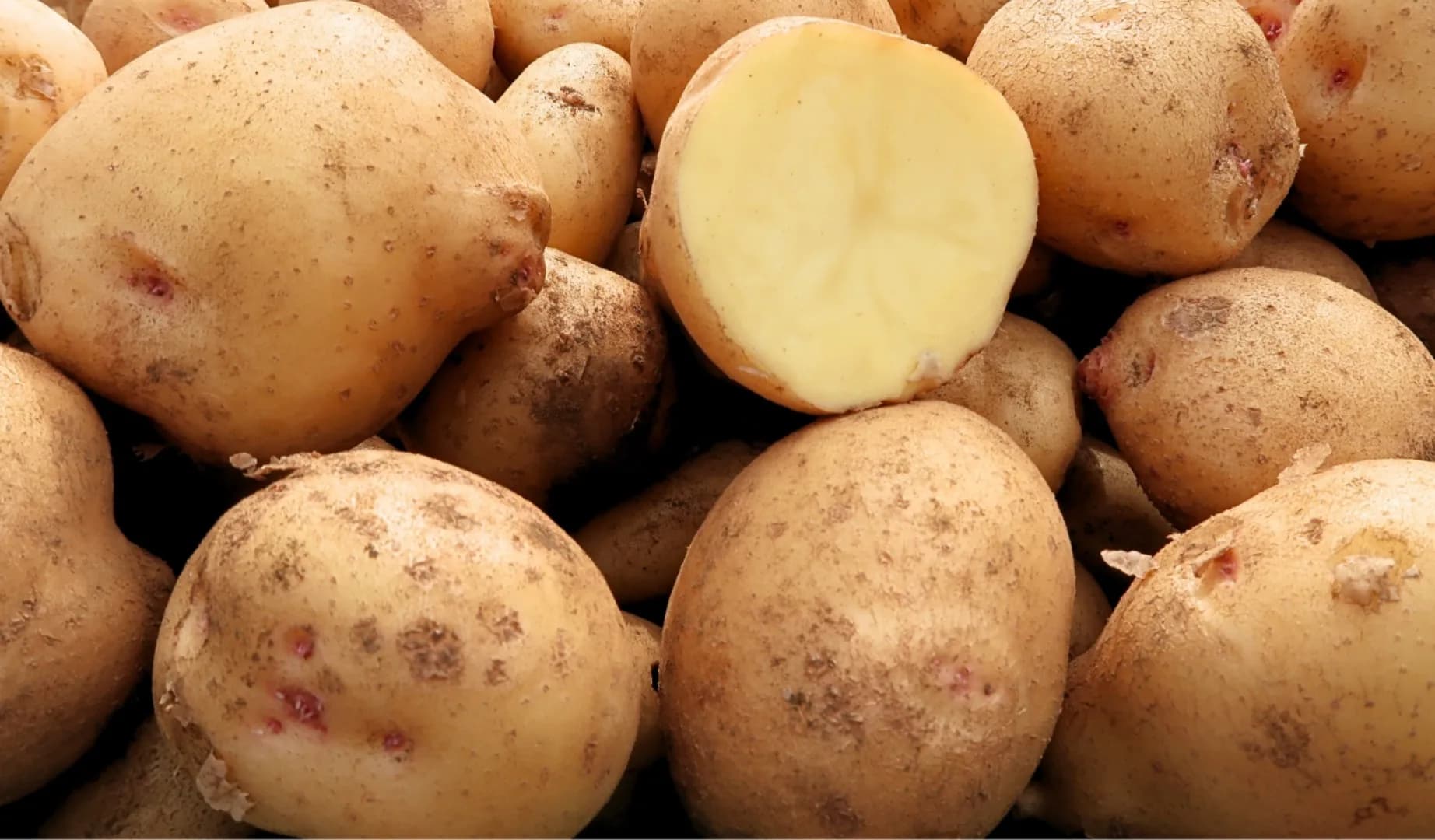Matra Agrihorti