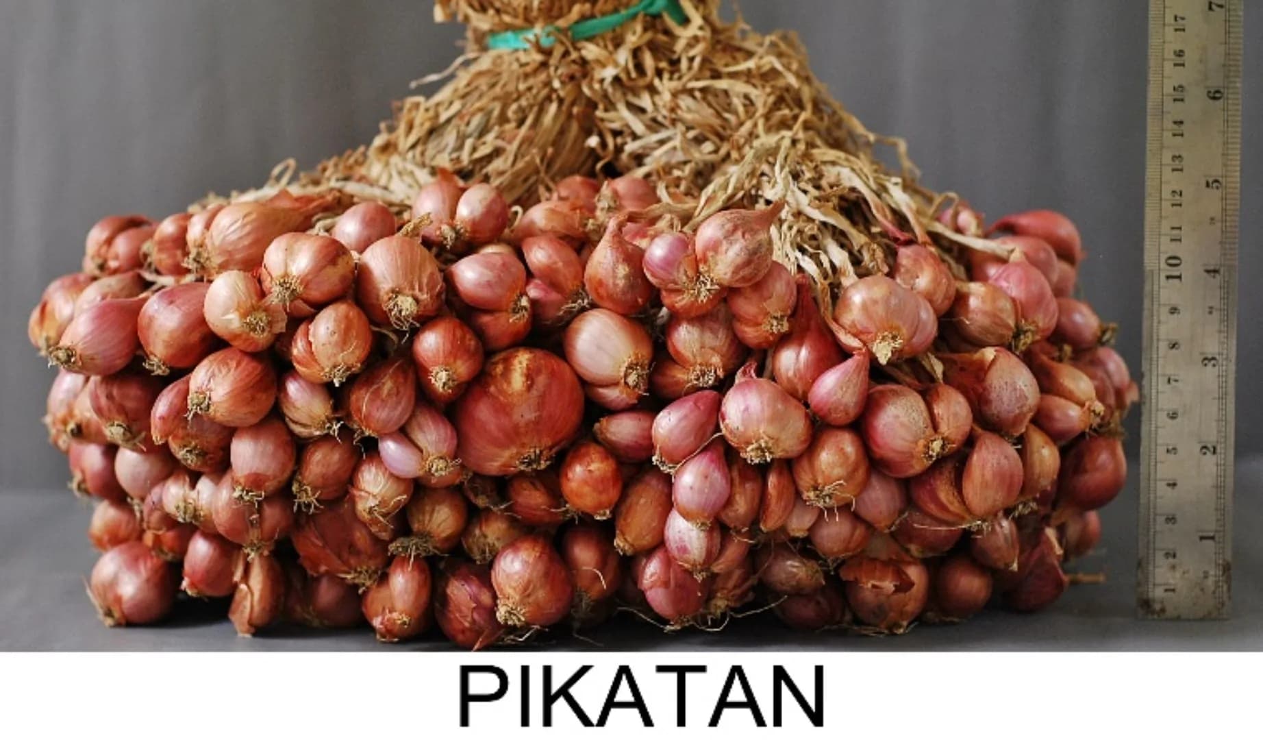 Pikatan