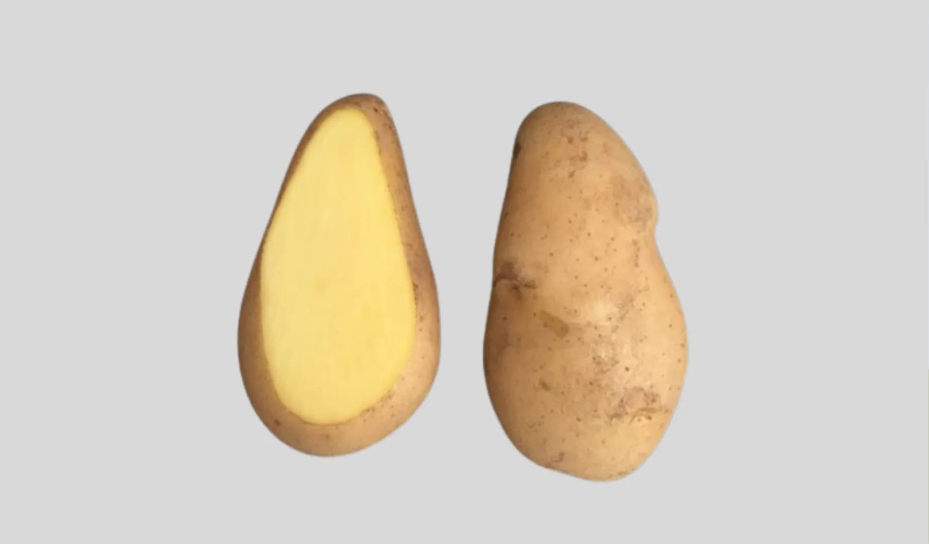 Golden Agrihorti
