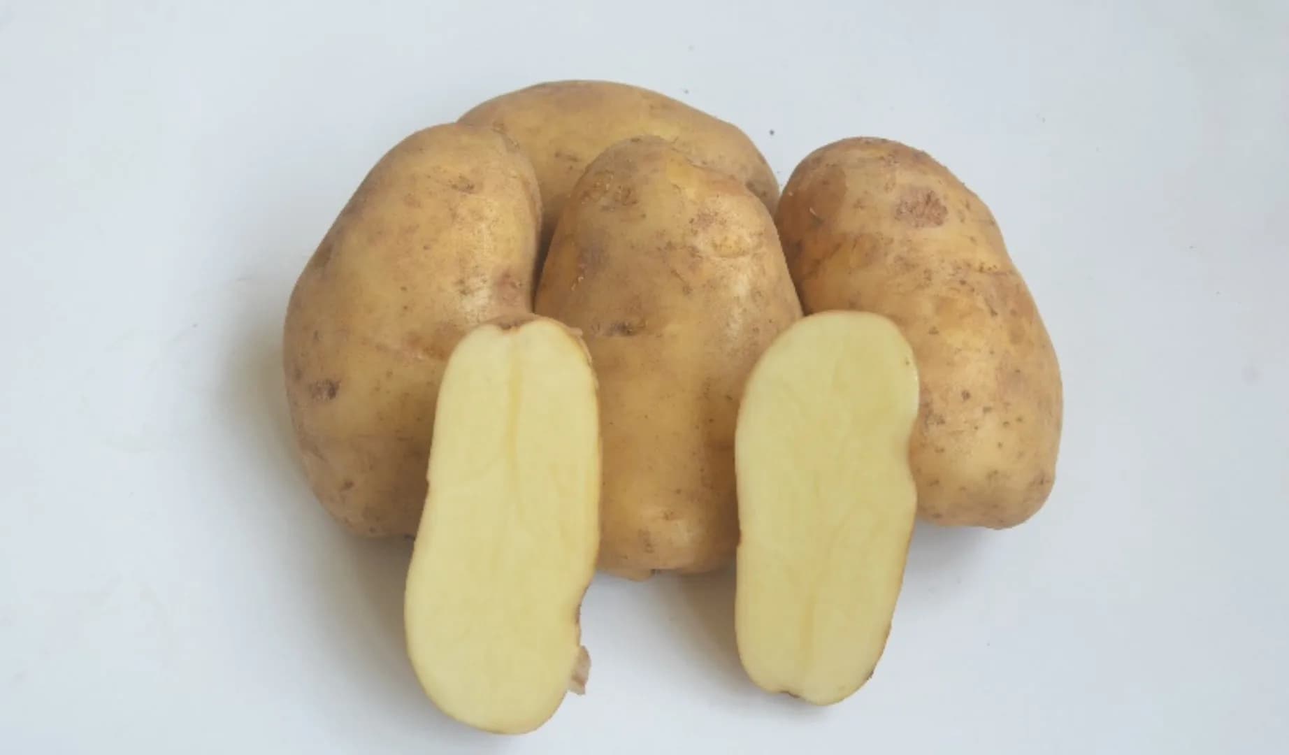 Papita Agrihorti