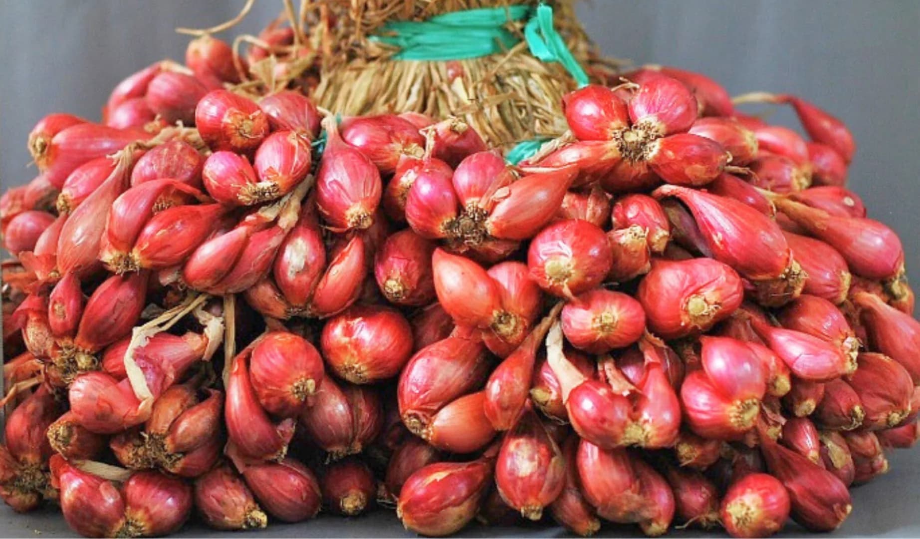 Bima Brebes