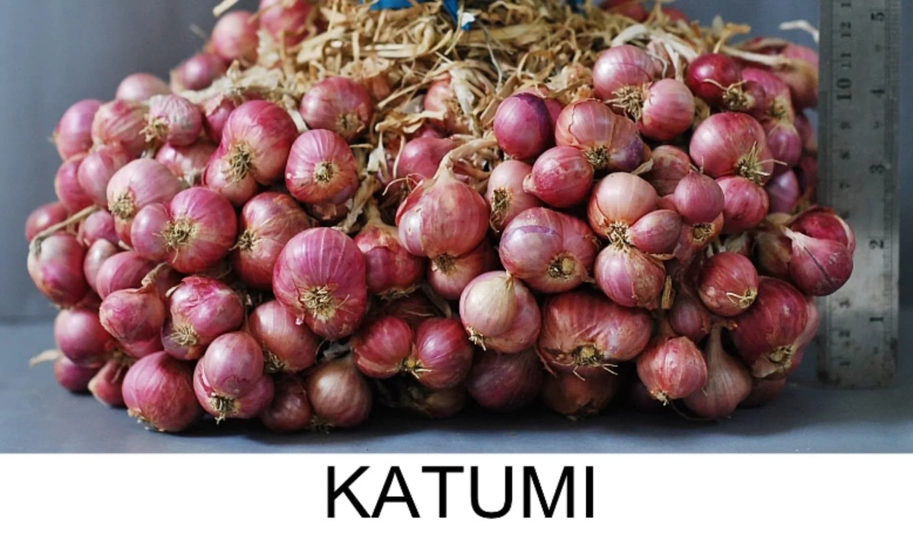 Katumi