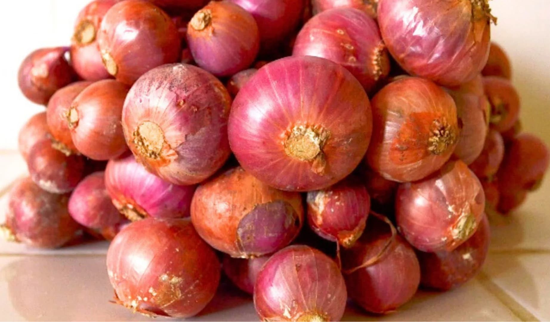 Sembrani