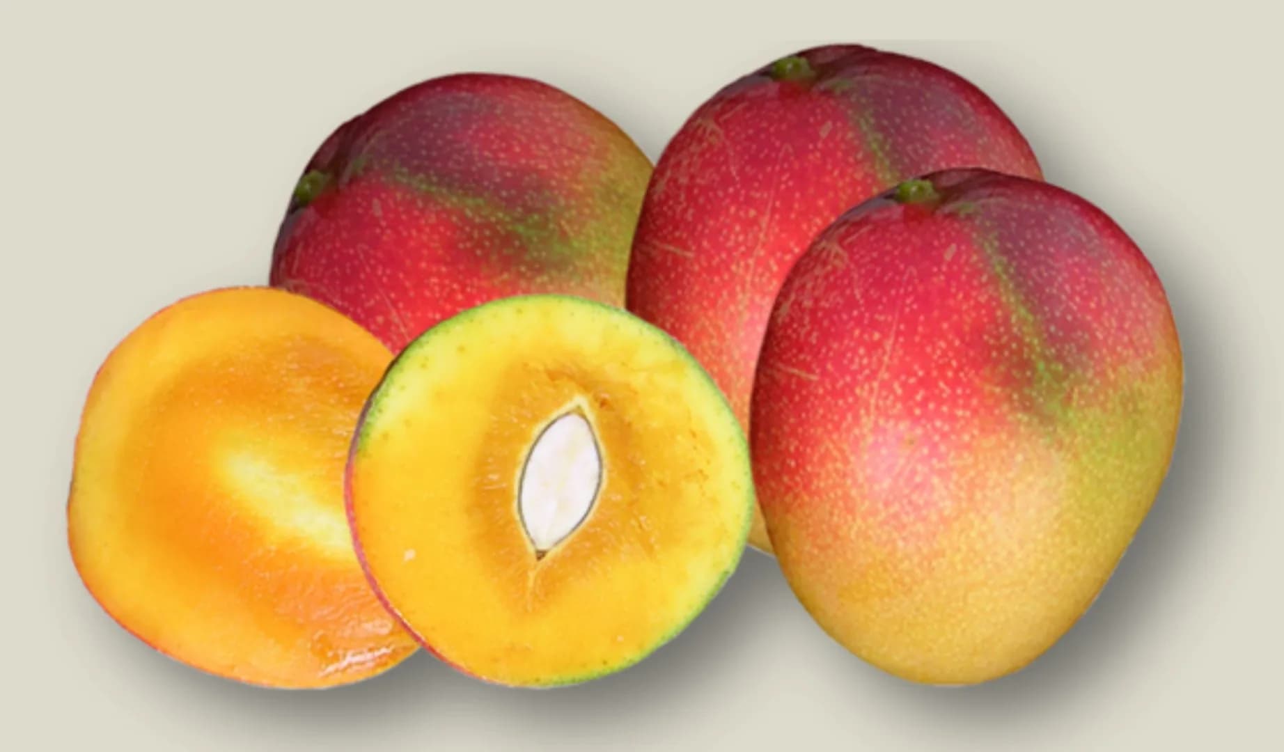 Garifta Orange