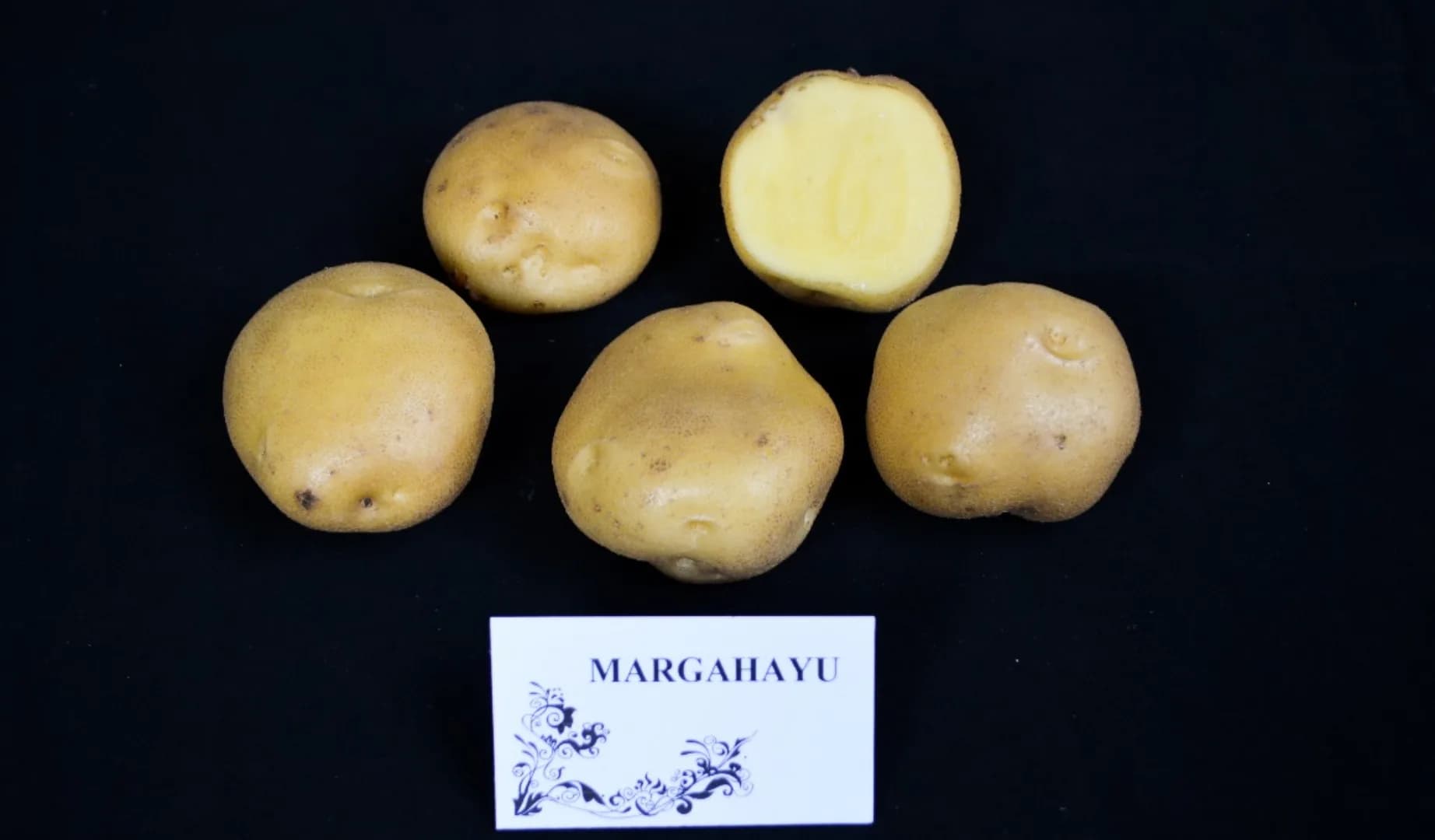Margahayu