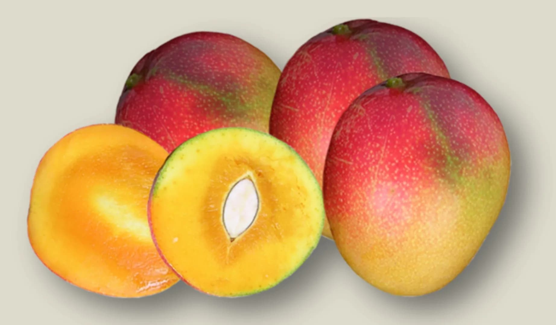 Garifta Orange