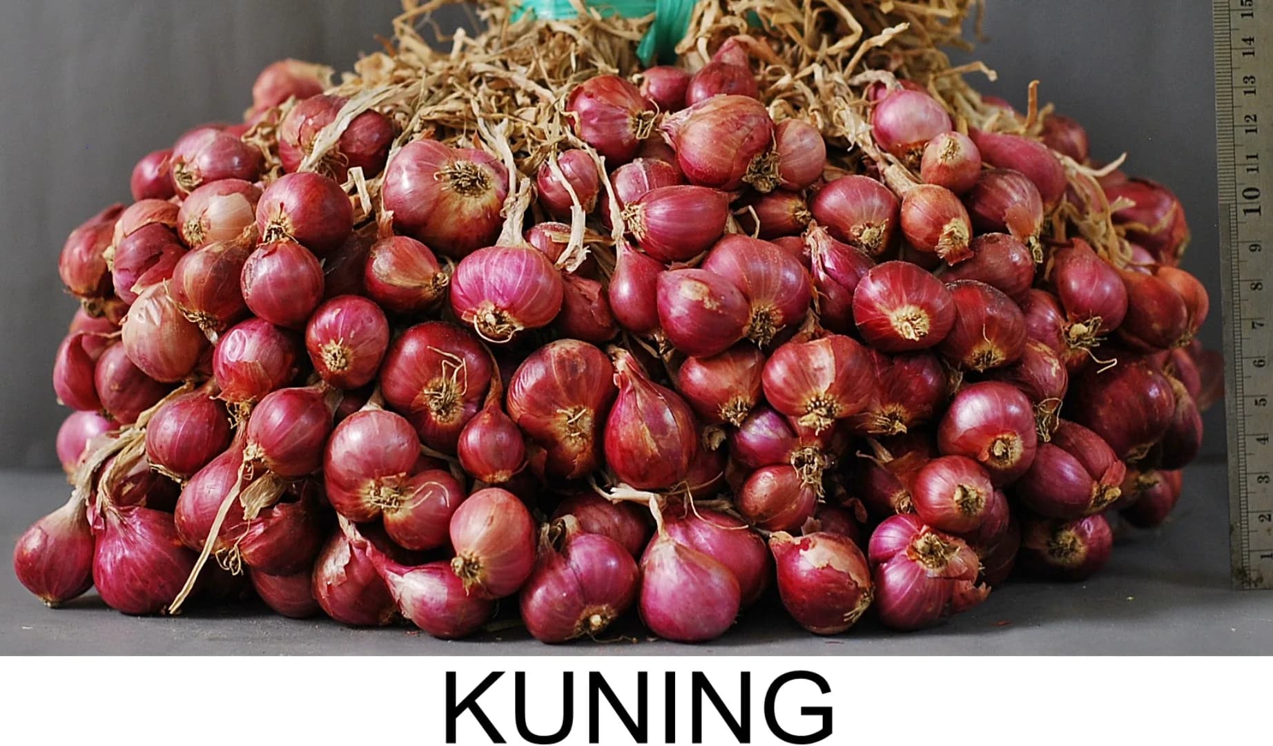 Kuning